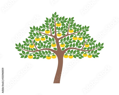 Garcinia fruit tree logo. Isolated garcinia fruit tree on white background