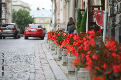 Pedestals with red flowers on the city street.