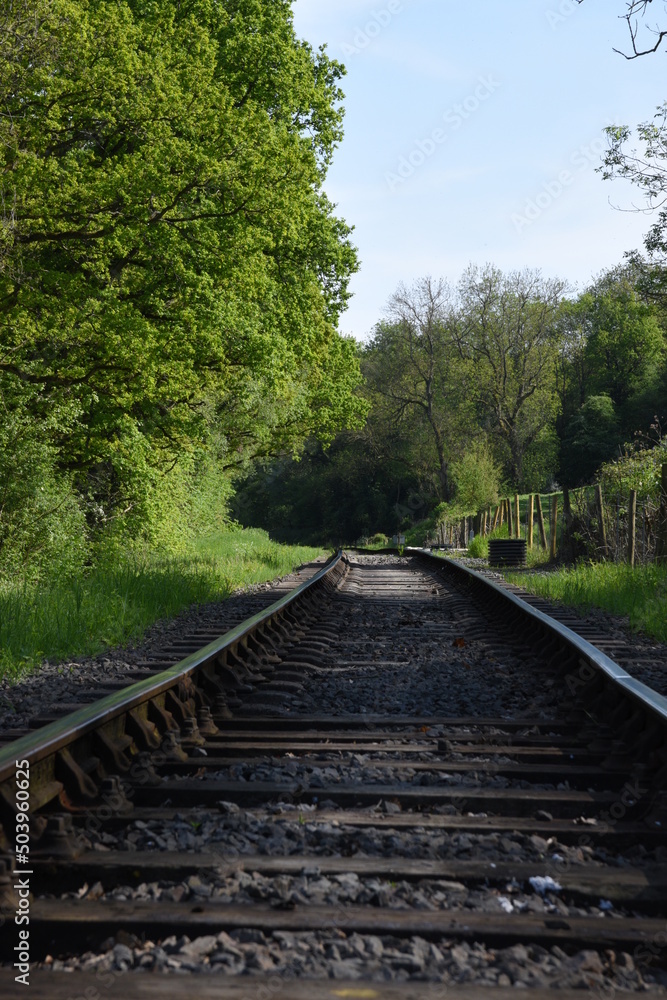 old railway track going though the forest old railway track going though the forest