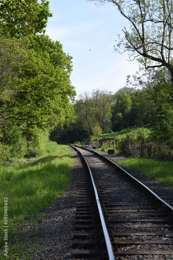 old railway track going though the forest old railway track going though the forest