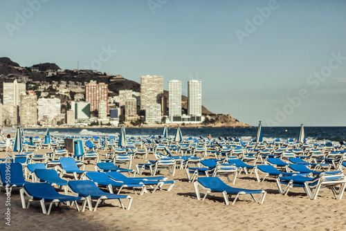 Benidorm. Deckchairs on the beach (ID: 503960899)