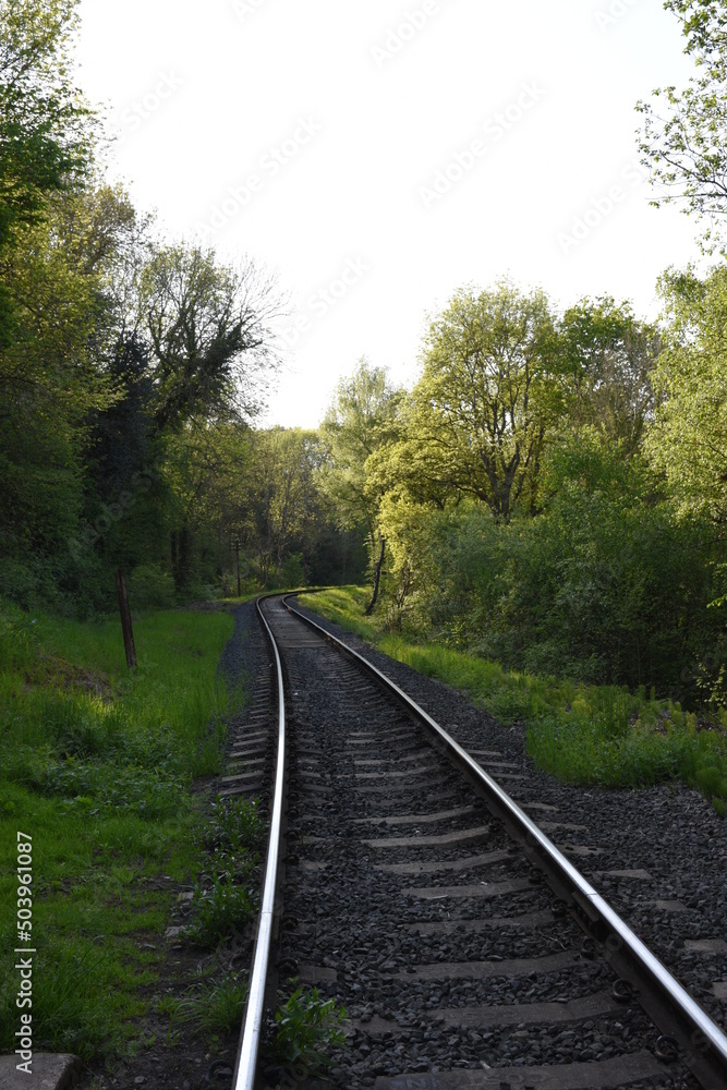 Fototapeta premium old railway track going though the forest