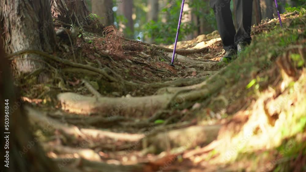 登山をする若い男性 スポーツイメージ 登山をする若い男性 スポーツイメージ