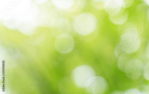 green bokeh background,abstract blur green color for background,blurred and defocused effect spring concept for design,nature view of blurred greenery background