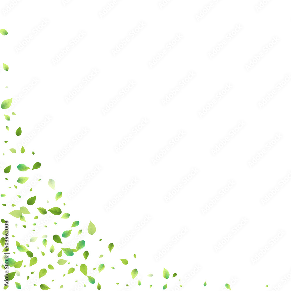 Leaves Green Falling Flying Foliage Leaf Tea Mint Leaves Green Falling Flying Foliage Leaf Tea Mint
