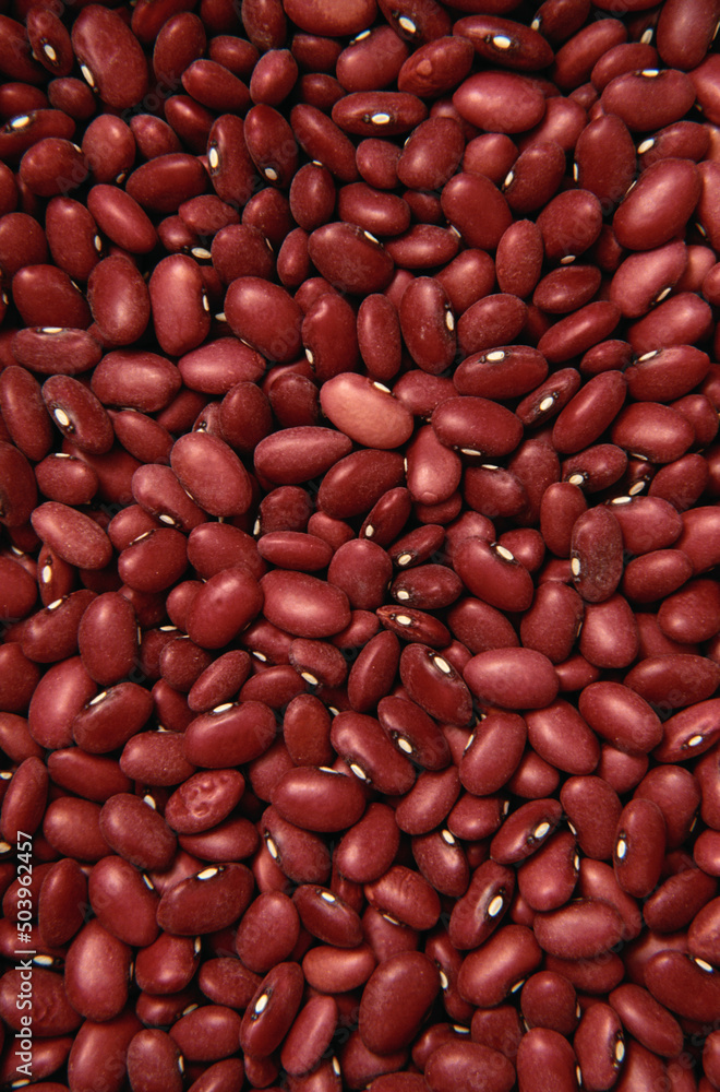 Dry red beans Dry red beans