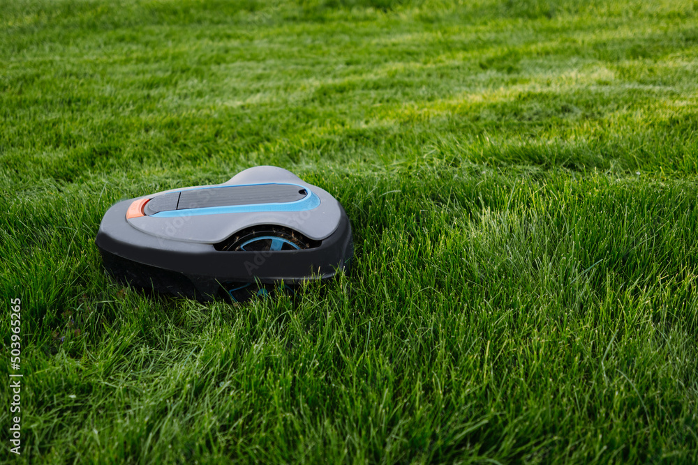 Lawn mower cutting green grass. Robot. Copyspace - obrazy, fototapety, plakaty 