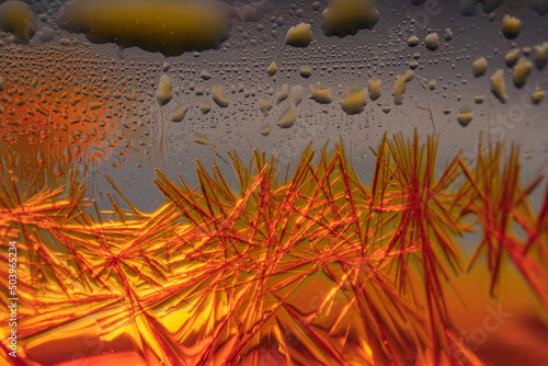 Cuadro en lienzo water drops on a glass