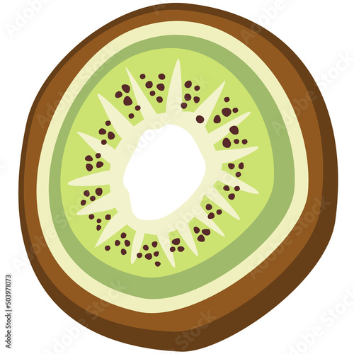 Vector illustrtion of half of kiwifruit. Isolated on white background.