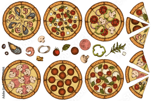 Pizza hand drawn vector illustrations collection. Colored greek, margherita, pepperoni, veggie, ham and mushrooms and seafood pizzas.