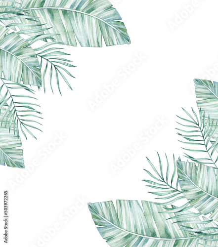 Fototapeta Naklejka Na Ścianę i Meble -  Watercolor illustration card with tropical leaves banana tree. Isolated on white background. Hand drawn clipart. Perfect for card, postcard, tags, invitation, printing, wrapping.
