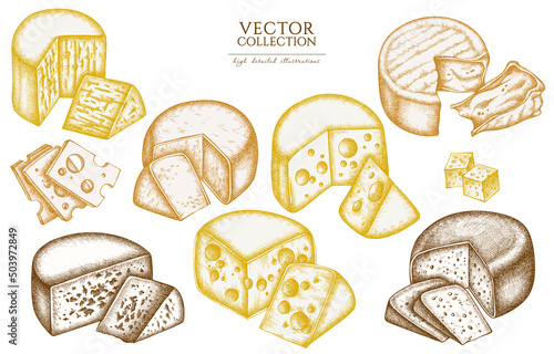 Cheese vintage illustrations collection. Hand drawn logo designs with brie, gouda cheese, roquefort, etc.