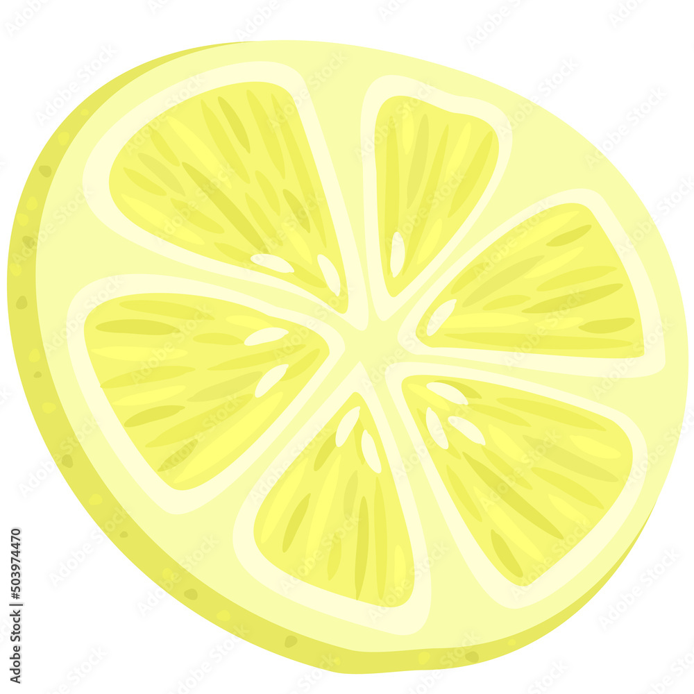 Vector illustration of slice of fresh lemon isolated on white background. Vector illustration of slice of fresh lemon isolated on white background.
