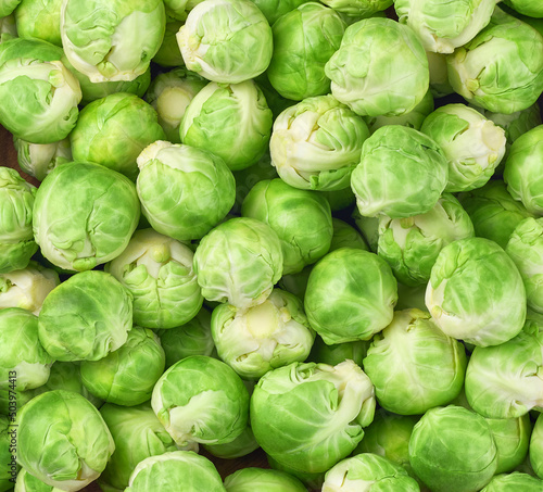 seamless pattern brussels cabbage close-up.  Brussel sprouts for background.