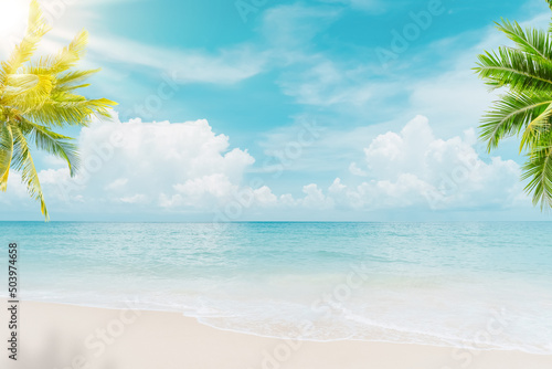 Palm tree on tropical beach with blue sky and white clouds abstract background. Copy space of summer vacation and business travel concept. © tonktiti