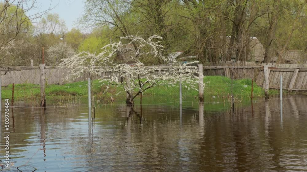 Vegetable Garden Beds In Water During Spring Flood floodwaters during natural disaster. Water deluge During A Spring Flood. inundation River. Vegetable Garden Beds In Water During Spring Flood floodwaters during natural disaster. Water deluge During A Spring Flood. inundation River.