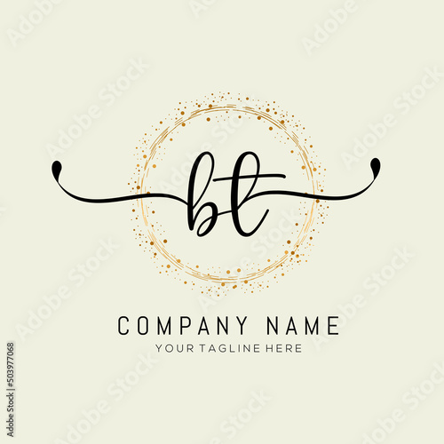 initial BT handwriting logo design vector template illustration. abstract handwriting letter BT logo design vector.