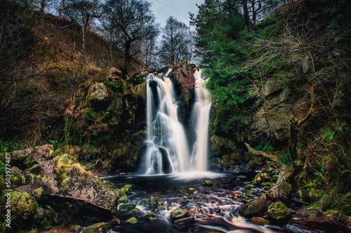 Posforth Gill Waterfall in the Valley of Desolation, Bolton Abbey, Yorkshire Dales National Park, Yorkshire, England, UK photo