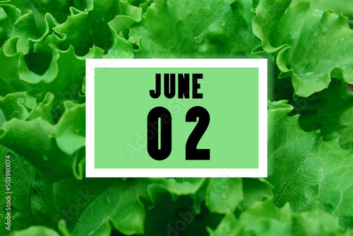 calendar date oncalendar date on the background of green lettuce leaves.  June 2 is the second  day of the month photo