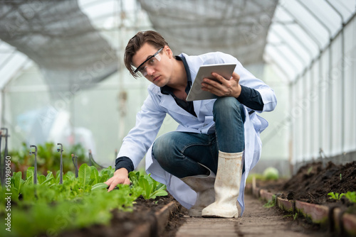 Quadro em tela Portrait of handsome agricultural researcher holding tablet while working on res