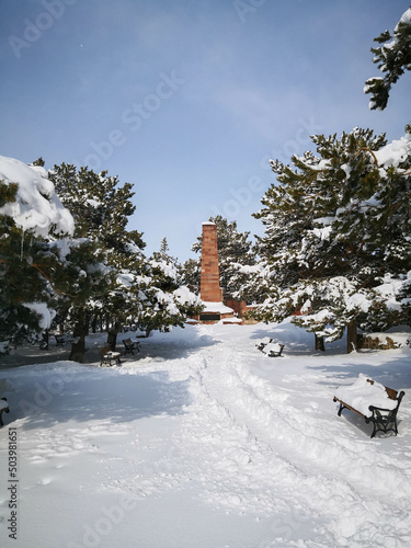 A snowy way to the monument tower between the trees in the outdoor park in Erzurum Turkey 