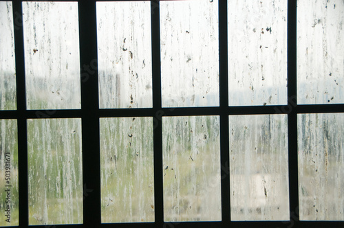bird dropping windows