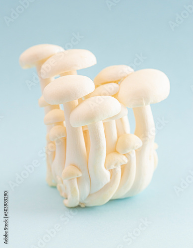 Clump of White Button Mushrooms Isolated on a Blue Background