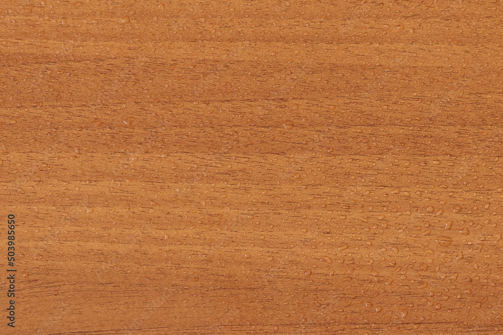 Water droplets on wood texture. Decorative wood texture with water drops. Water droplets on wood texture. Decorative wood texture with water drops.