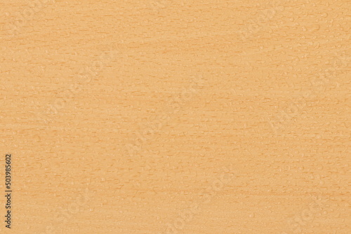 Water droplets on wood texture. Decorative wood texture with water drops.