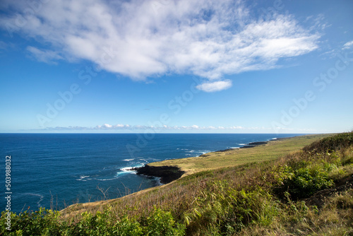 View of the coast at Volcano National Park Hawaii