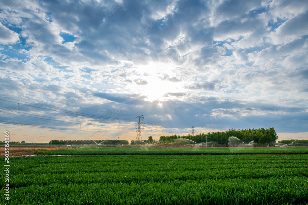 Modern agricultural irrigation technology and sprinkler irrigation