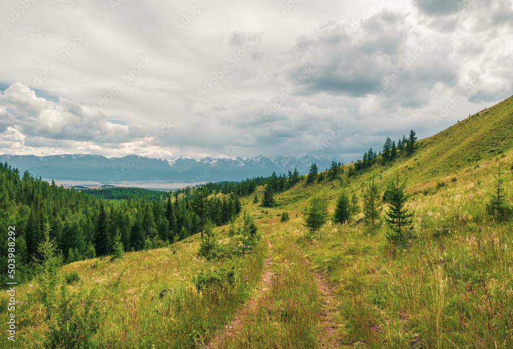 Minimalistic green mountains landscape with old dirt road overgrown with grasses and flowers. Beautiful green mountain scenery with old track covered with lush vegetation.