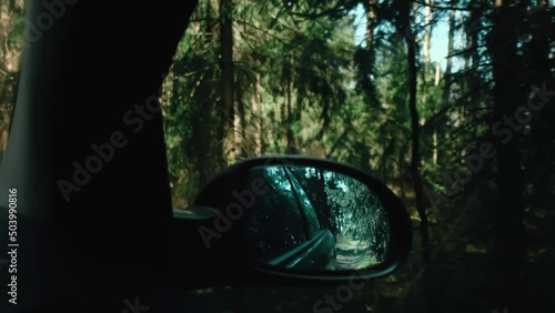 Forest road, view of the forest from the car. Dynamic road through the woods. High quality 4k footage