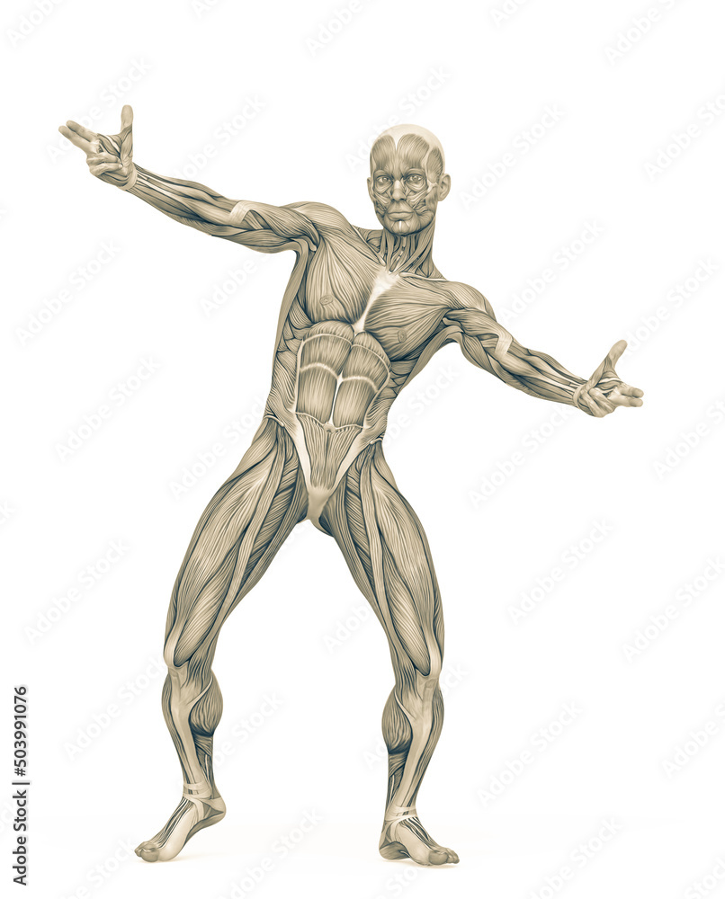 average man muscle maps is doing a free hiphop pose