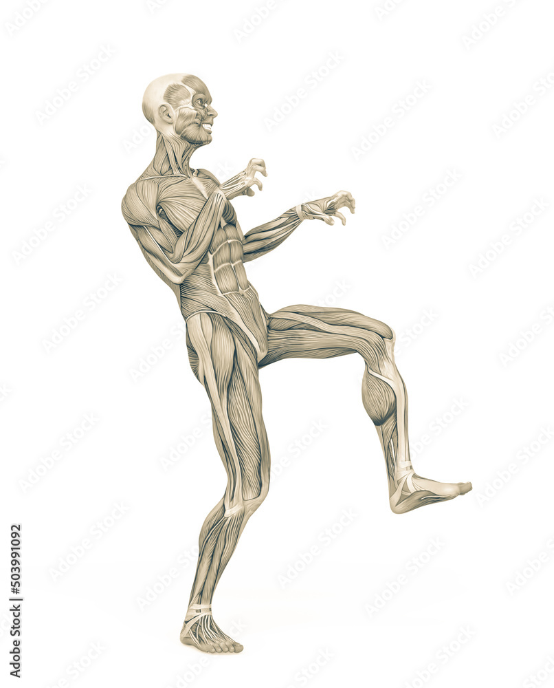 average man muscle maps is doing a halloween pose average man muscle maps is doing a halloween pose