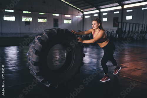 Young Caucasian female with muscular body using heavy tire equipment for warming up and weightlifting, sporty fit girl actively exercising for keeping perfect figure shape and healthy lifestyle