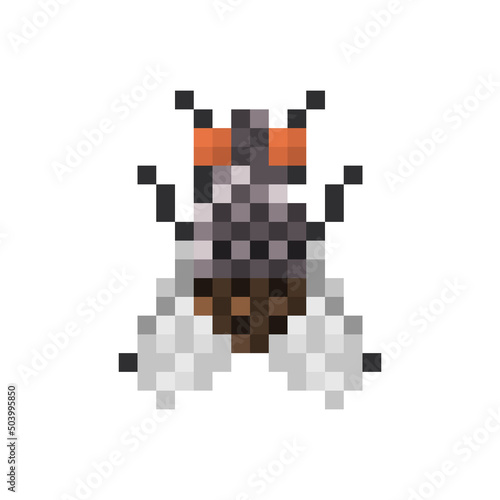 Fly in pixel art style isolated on a white background, vector illustration