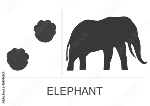 Elephant silhouette and footprints. Vector illustration isolated on white background.
