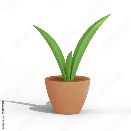 Green plant in a ceramic flower pot  3D rendering