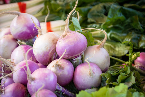 close up of fresh raw turnips in a market photo