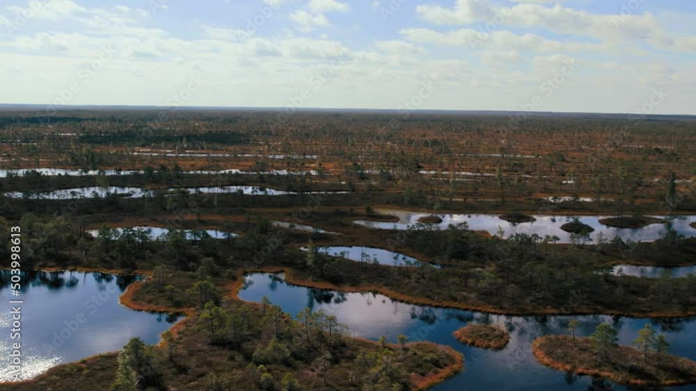 Aerial drone view over trails and lakes in Kemeri National Park, Jurmala, Latvia, Europe Aerial drone view over trails and lakes in Kemeri National Park, Jurmala, Latvia, Europe