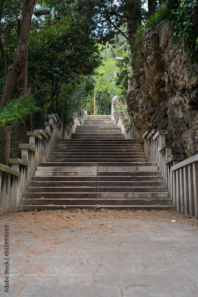 stairs in the park