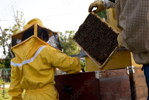 father teaches his son the art of beekeeping