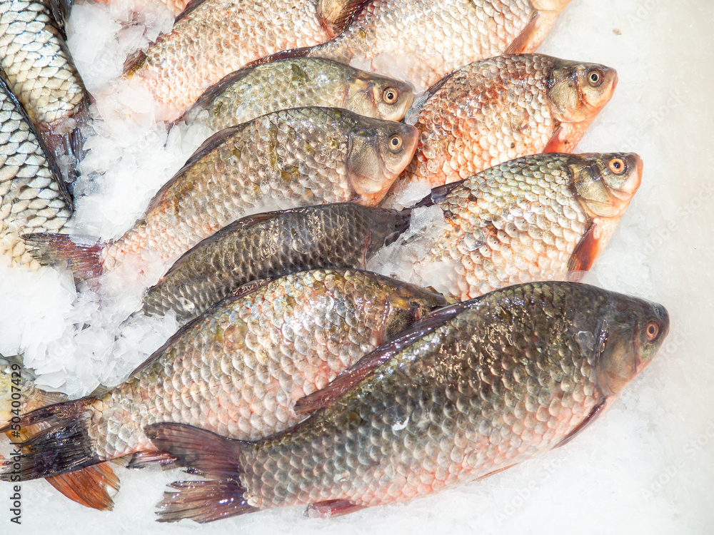 Fish shop. Sale of carp. Chilled crucian carp on the counter. Fish shop. Sale of carp. Chilled crucian carp on the counter.