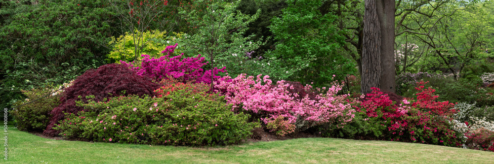 Beautiful Garden with blooming trees and bushes during spring time, Wales, UK, banner size Beautiful Garden with blooming trees and bushes during spring time, Wales, UK, banner size