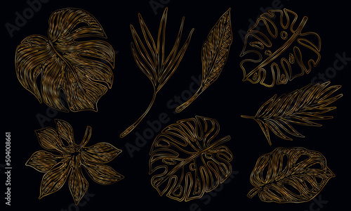 Set of outline tropical leaves drawn with thin golden lines, vector. Monstera and palm leaves