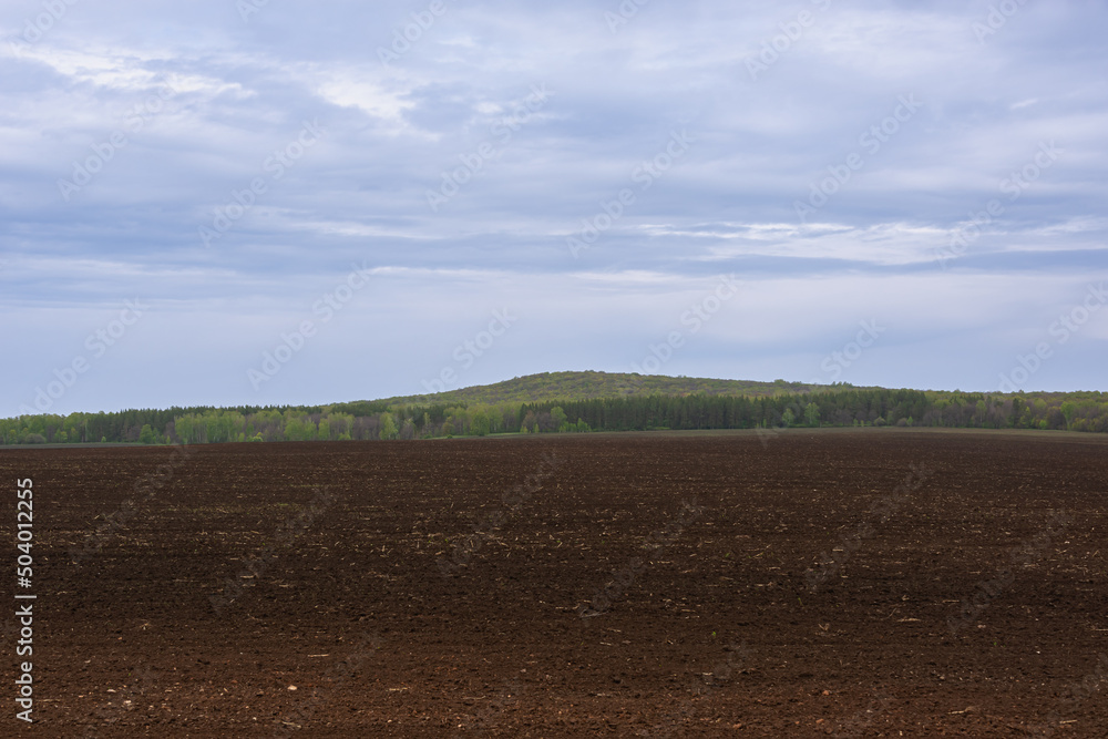 Field before planting, hills and forest in the background.