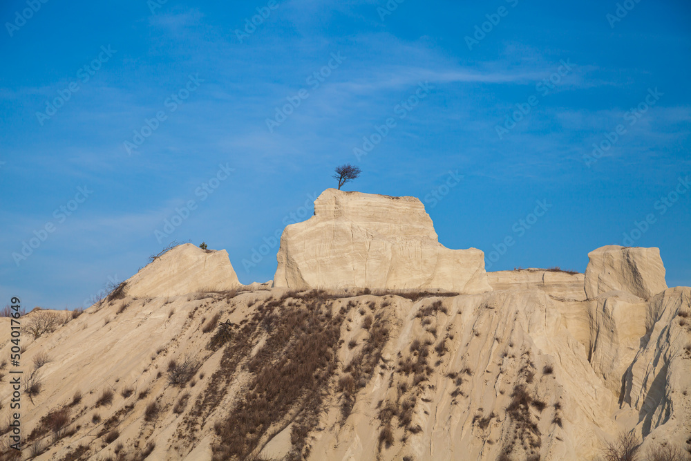 Lonely tree on top of a cliff in the village of Fetesti in northern Moldova