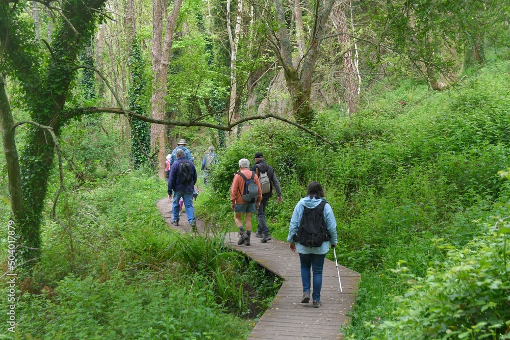 Group of senior hikers walking in the Traouiero valley at Tregastel in Brittany-France Group of senior hikers walking in the Traouiero valley at Tregastel in Brittany-France