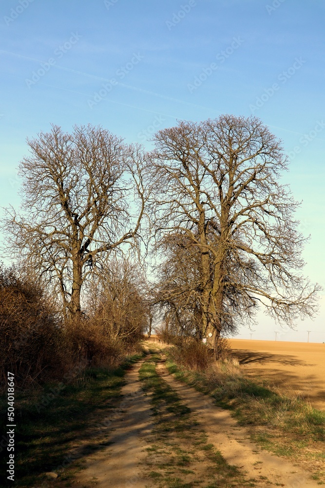 Field dusty road in the middle of nowhere during sunny day. Infinite journey 4. Field dusty road in the middle of nowhere during sunny day. Infinite journey 4.